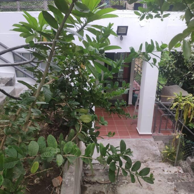 Kk Jungle Hideaway Lovely Apartment 5 Mins Walk To Town Kota Kinabalu Exterior photo